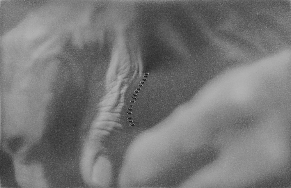 FE albanene-bordado-7