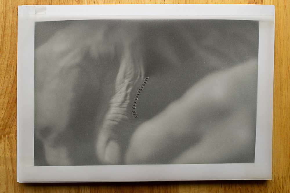 FE albanene-bordado-8