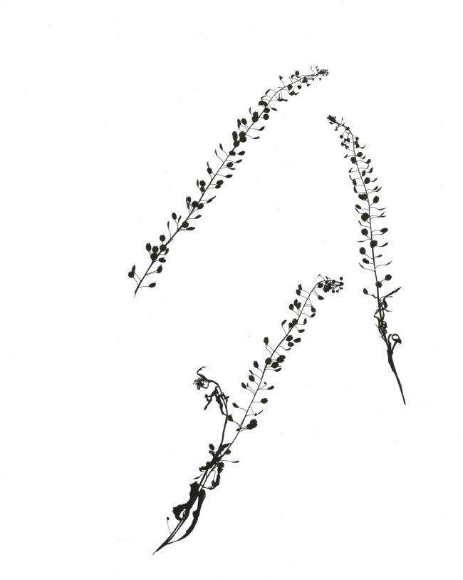 img20220910_16021067