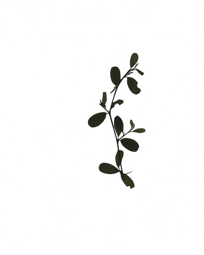 img20220910_16054470