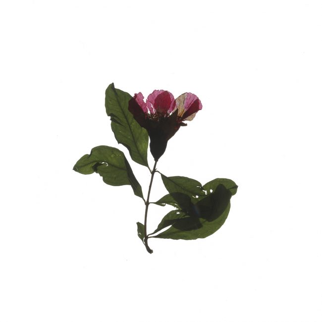 img20220910_16193709