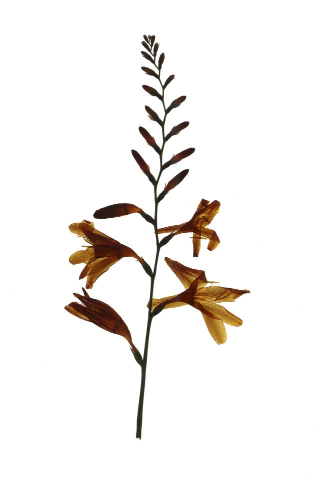 img20220910_16355314