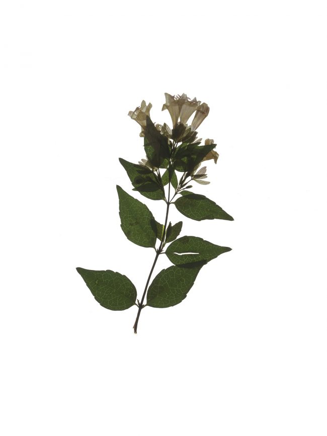 img20220910_16394434