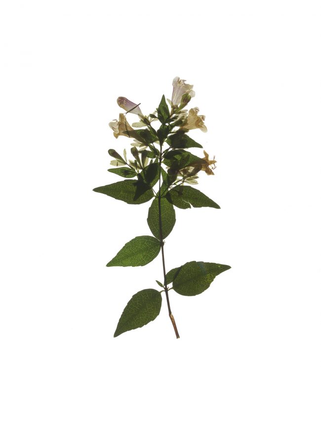 img20220910_16445167