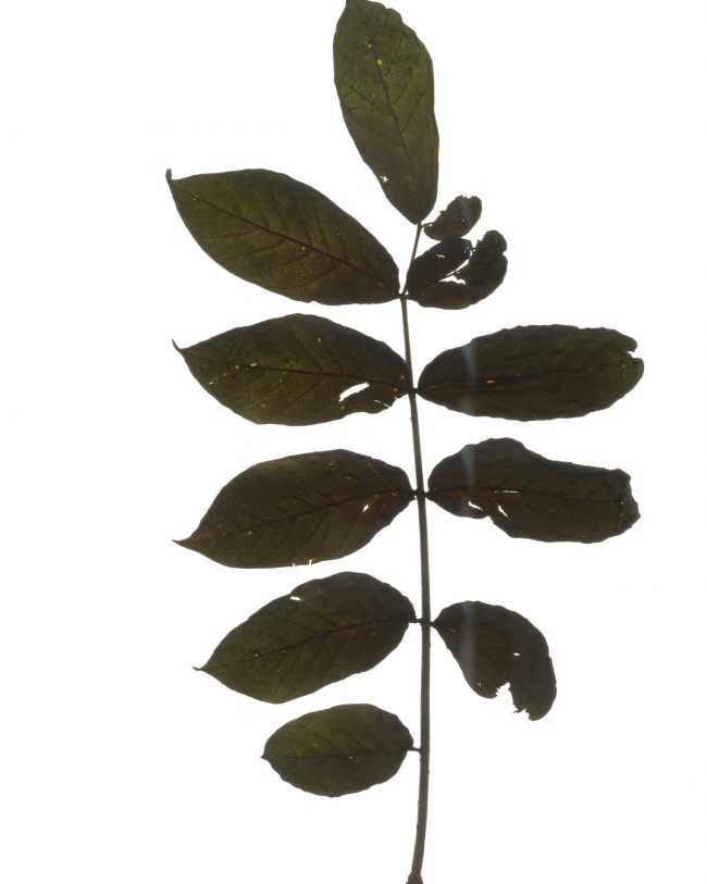 img20220910_16475392