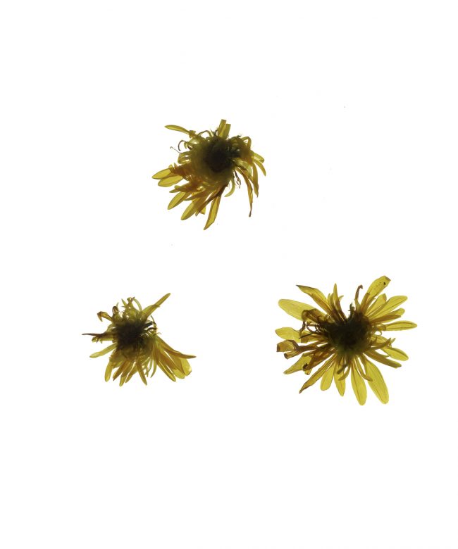 img20220910_16541965