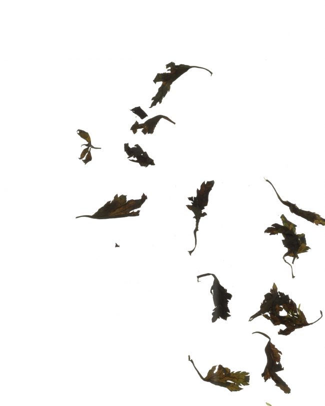 img20220910_16580156