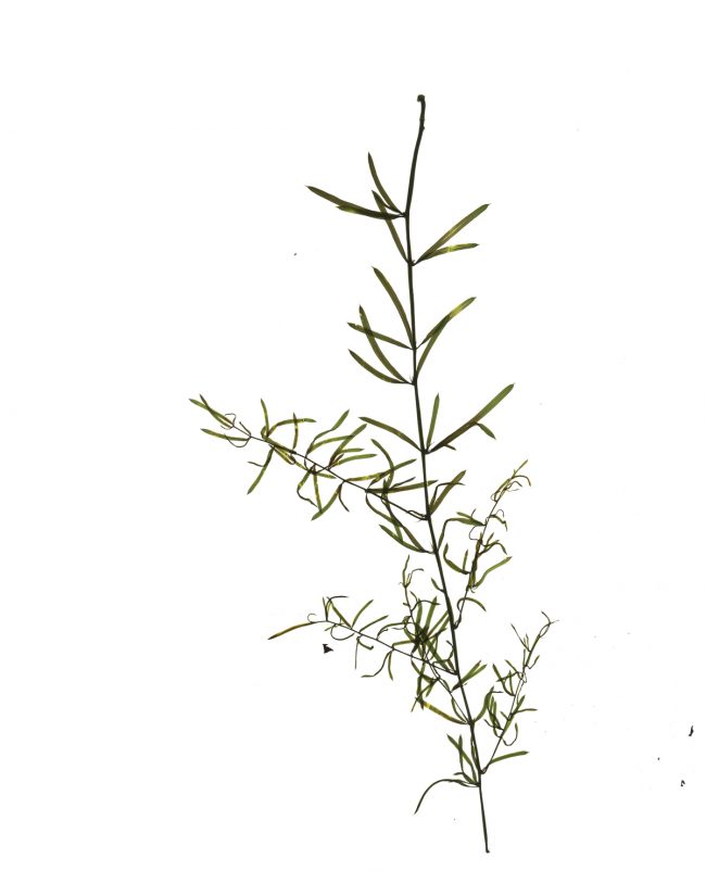 img20220910_17003473