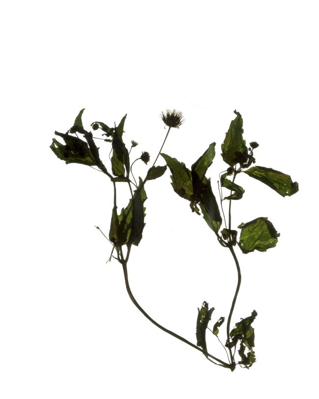 img20220910_17230468