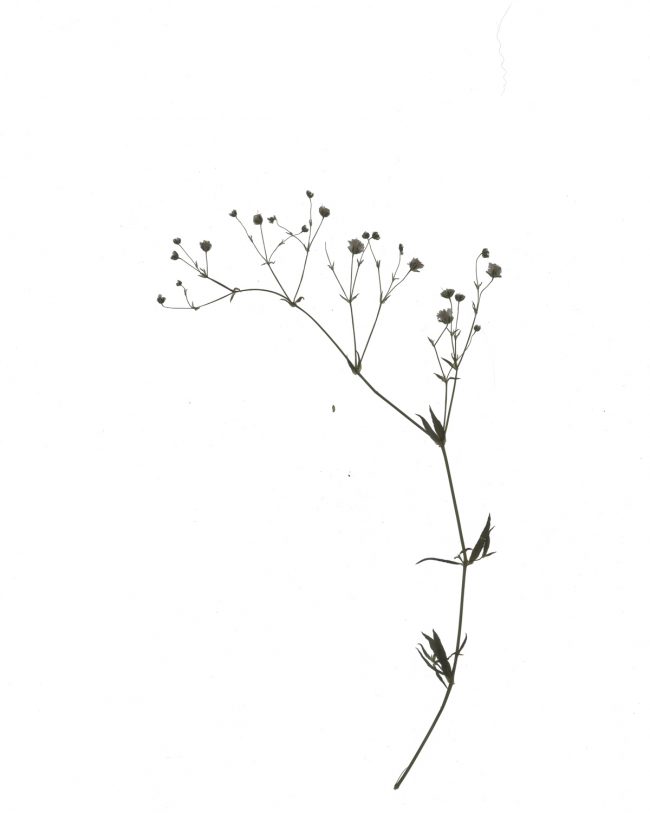 img20220910_17364656