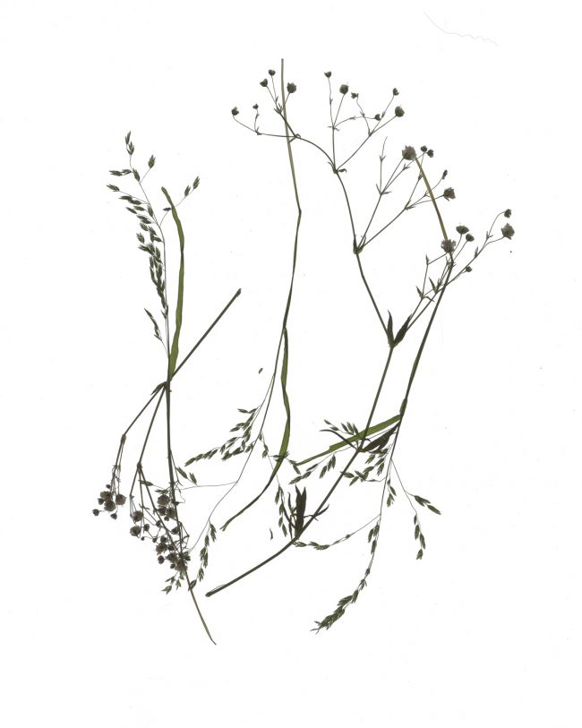 img20220910_17413554