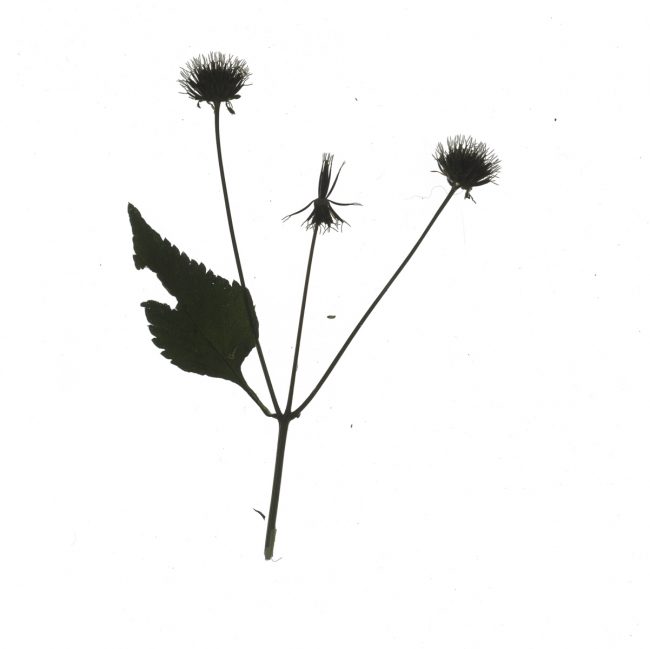 img20220910_17470939