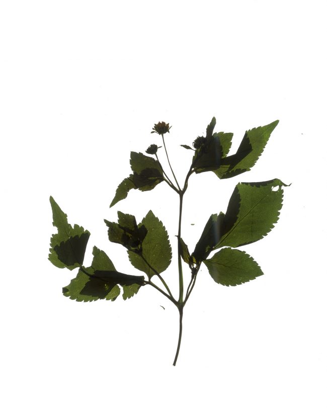 img20220910_17513115