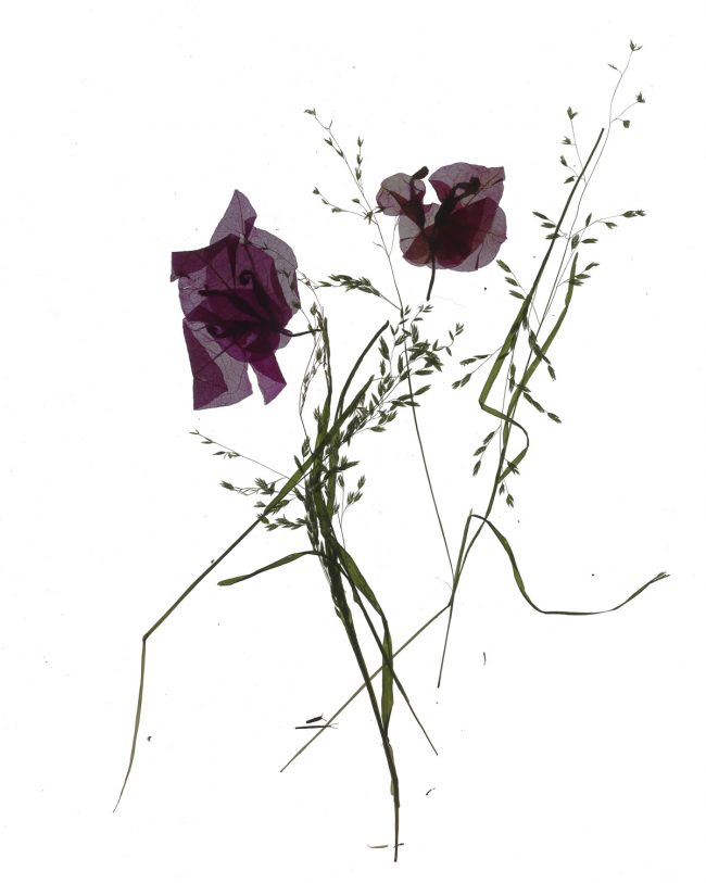 img20220910_17552930