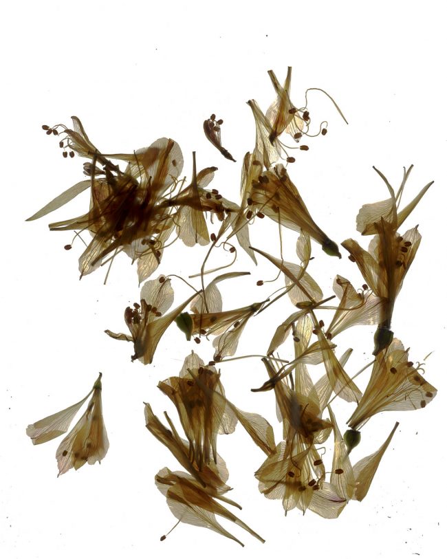 img20220910_18045226