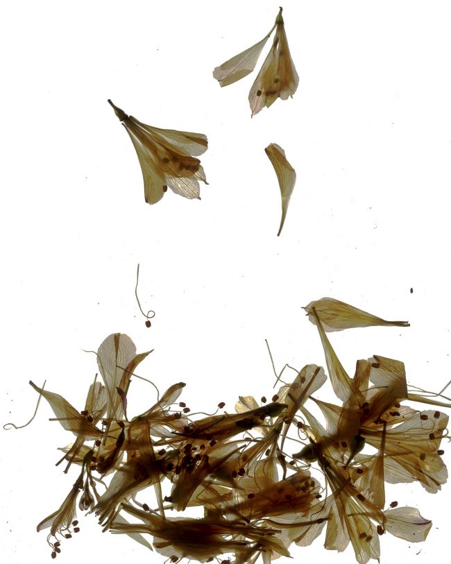 img20220910_18091530