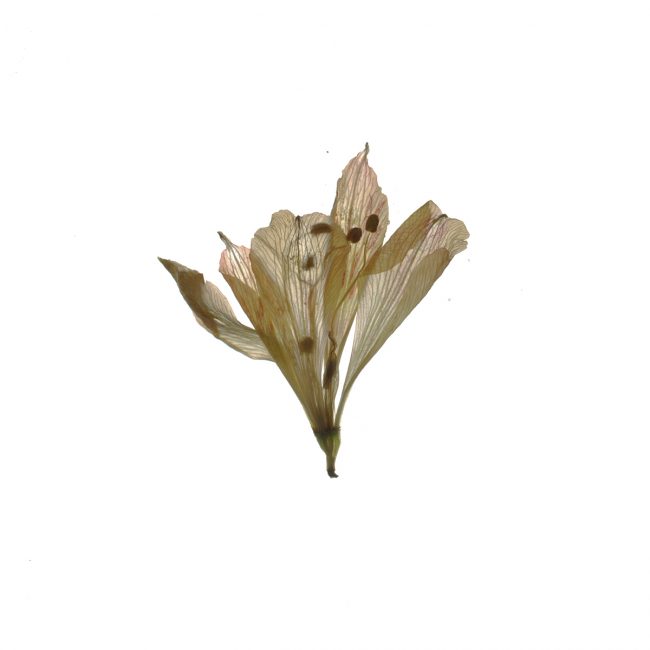 img20220910_18151110