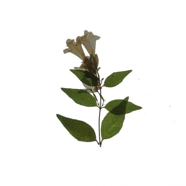 img20220910_18204218